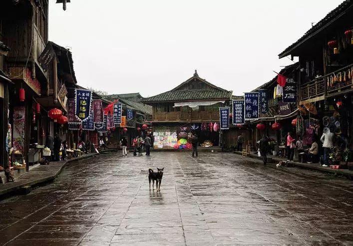 蝙蝠侠内敌